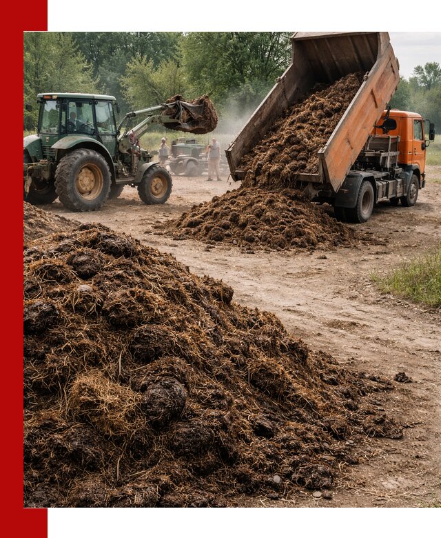 Доставка навоза самосвалами в Омске для сельхозпотребностей